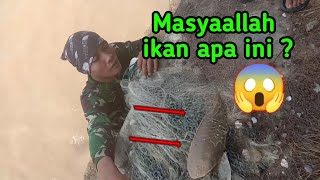 Ngeri.. ‼️ketika jala ikan di laut tuban || menjala ikan di pantai || cast net fishing