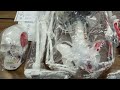 Axis Scientific Muscle Painted and Numbered Life-size Human Skeleton Anatomy Model Unboxing