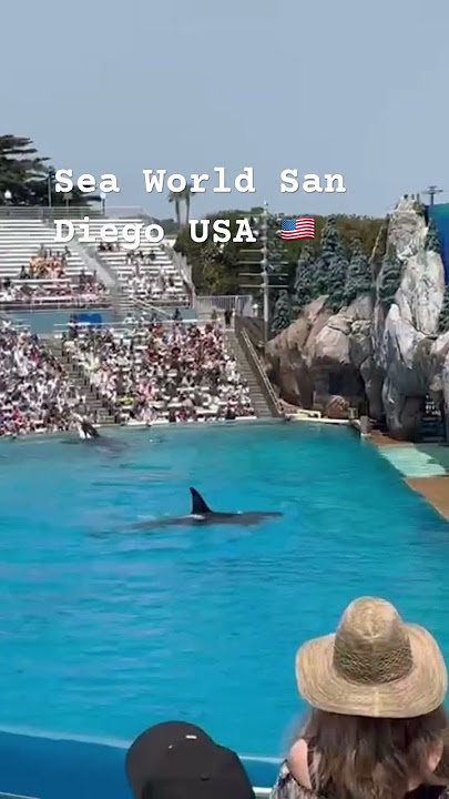 #seaworldsandiego #beautifulview #views_viral #relaxingplace