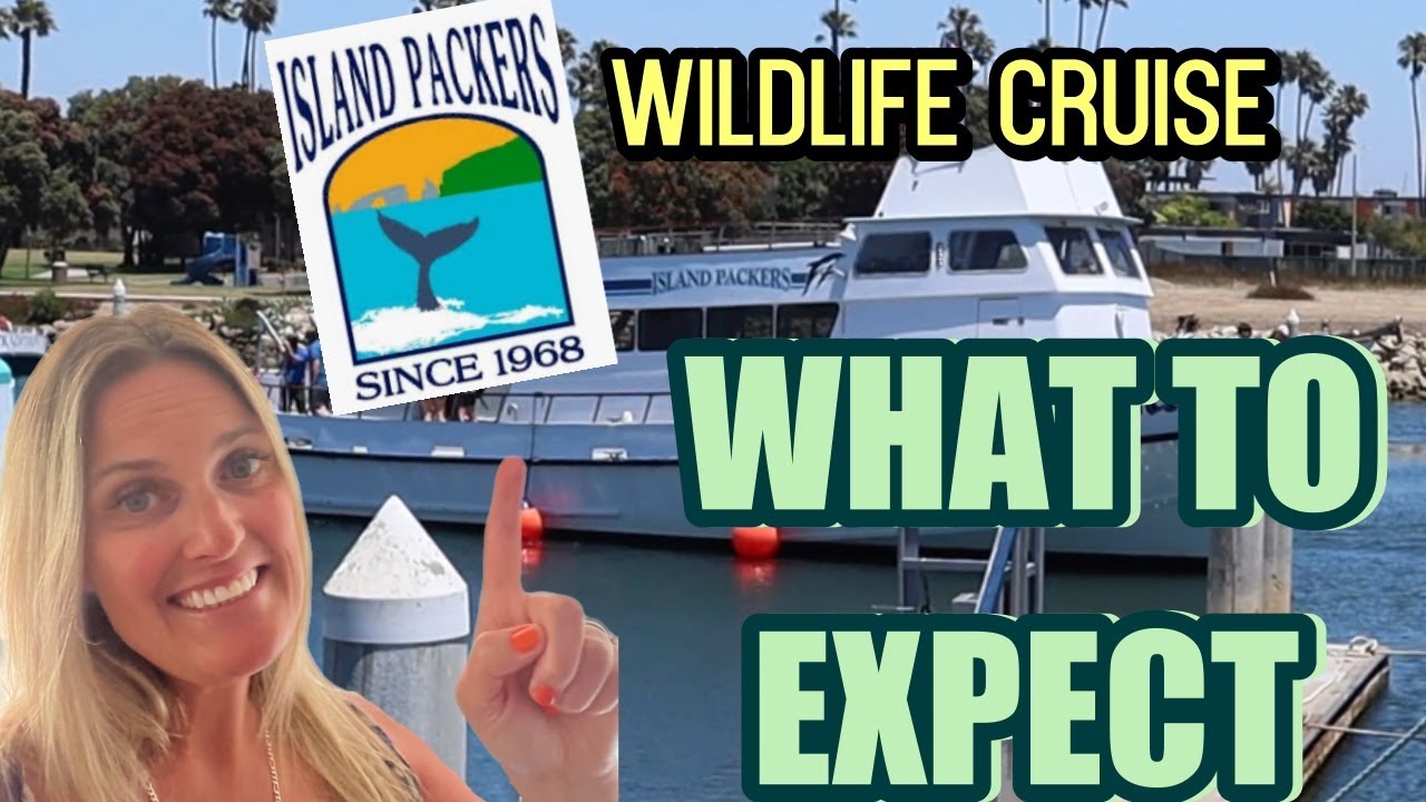 Wildlife Cruise: Channel Island Packers