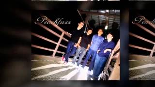 Famous Peachfuzz - Release Net Worth