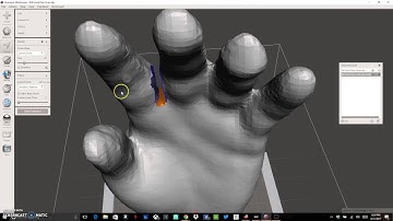 Editing a Scanned Hand for 3D printing (1 of 3)