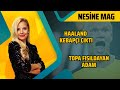 Topa Fısıldayan Adam, Haaland&#39;ın Kebap Sevgisi | Nesine Mag S3 #13