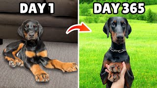 The First 365 Days with my Puppy