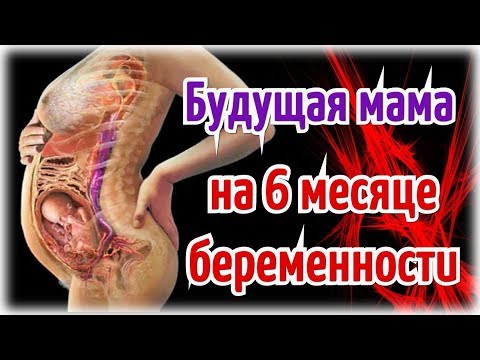 Будущая мама на 6 месяце беременности!