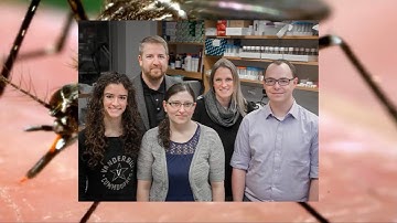 Bordenstein Lab: Cytoplasmic Incompatibility Genes and Applications