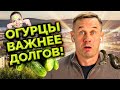 КОЛЛЕКТОРЫ НАПОРОЛИСЬ НА ШУТНИКА! | БАНКРОТСТВО | Кузнецов | Аллиам