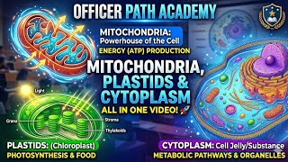 Mitochondria, plastids and cytoplasm 💥🔥