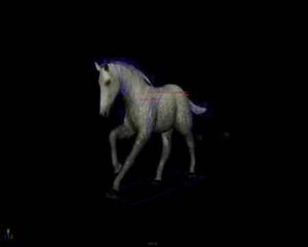 Horse Animation - Horse Gaits: Walk, Trot, Piaffe,...