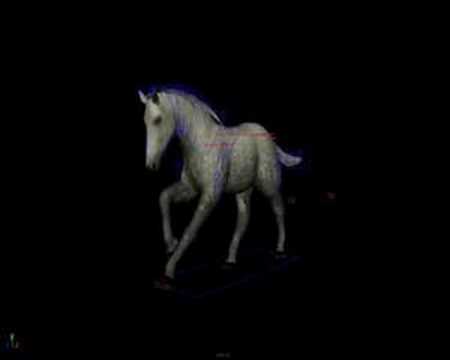 Horse Animation - Horse Gaits: Walk, Trot, Piaffe, Gallop