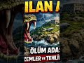 dünyanın en tehlikeli adasını duymuşmuydunuz ?       #bilinmeyenler #snake #snakeisland #snakevideo