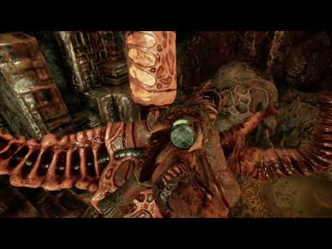 Launch Trailer