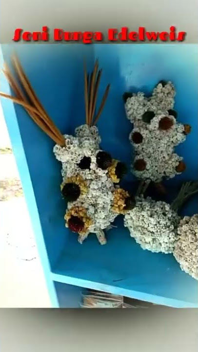Seni Bunga Edelweis (Bunga yang melambangkan Cinta Abadi) JPS #pendidikan #sd #edelweis #handmade