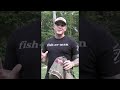 Tethrd Saddle &amp; XL Predator Platform #shorts