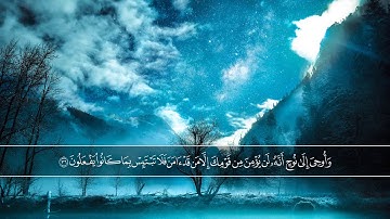 تلاوة مؤثرة  و حزينة للغاية ماشاءالله 😥 بصوت القارئ الشيخ ادريس ابكر سورة هود quran  حامل القرآن