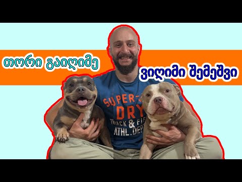 რატომ აღარ ვჩანვართ? სად არის ჩემი ხუთივე ძაღლი?!