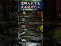 裏切られても立ち続けた人　#占い #恋愛占い #恋愛運 #縁結び #金運 #開運 #スピリチュアル