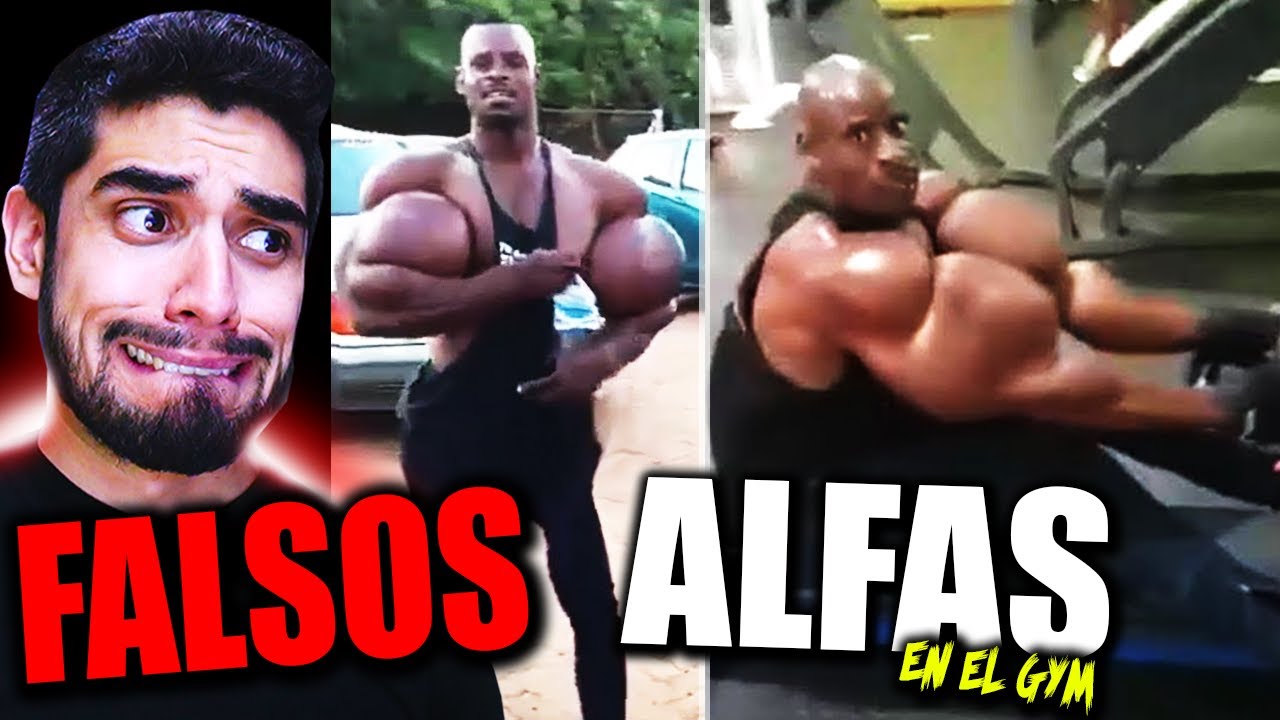 CUANDO NO TIENES CEREBRO PERO ACTÚAS COMO ALFA