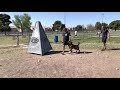 PSA protection sport mock practice.  PDC with added distraction.