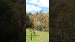 4x Grandmother’s Farm Fall Work! Milling Station Clean out 🪵🪚 #mountains #homestead #oldhouse #old