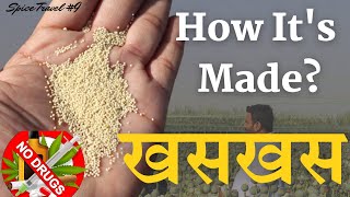 खसखस और अफ़ीम में क्या रिश्ता है ? || 2,00,000 ₹ में बिकता है ये नशीला पदार्थ || Poppy seeds farming