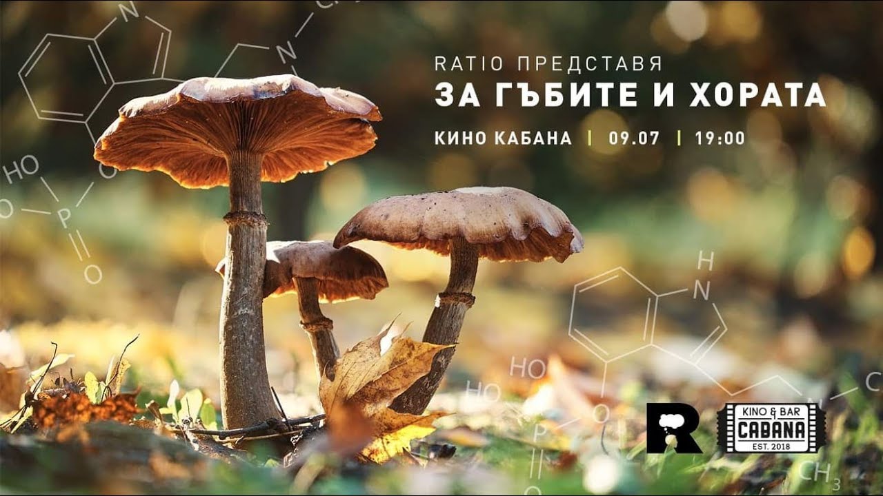 Ratio представя: За гъбите и хората