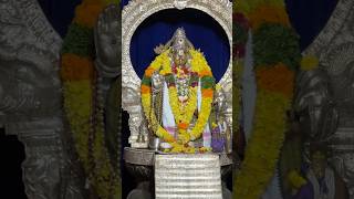 Swamiye Sharanam Ayyappa 🙏🏻 | #ayyappa #palani #ayyappasongs #shabarimala #devotionalsongs #shorts