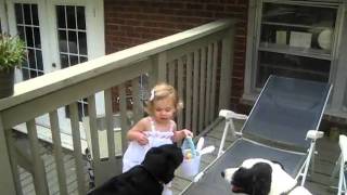 Easter Egg Hunt 2010