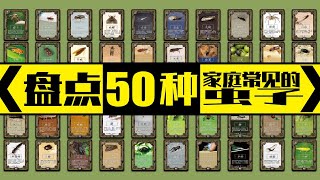 盘点50种家庭常见虫子！ 5 你绝对想不到你家有这么多虫子!家庭常见虫子超详细指南!