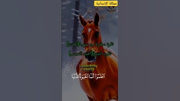 تلاوةعطرةمن سورة(الحديد)تلاوت الشيخ/احمد النفيس/اعلمواأنماالحياة الدنيا لعب ولهو وزينة وتفاخر بينكم