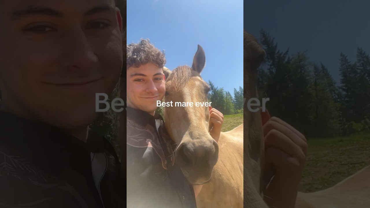 Παρακολούθηση I wish she was mine #horse #horses #fyp #mare #best #equestrian #lifestyle #horsesofyoutube στο YouTube Παρακολούθηση I wish she was mine #horse #horses #fyp #mare #best #equestrian #lifestyle #horsesofyoutube στο YouTube