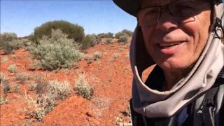 Part 10 Of My Gold Adventure To The Western Australia Goldfields