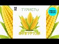 ТУРИСТО - Кукуруза (Single 2023)