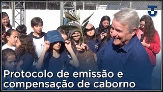 Cicted e  Protocolo de emissão e compensação de carbono