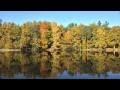 Virtualvision - Autumnshapes