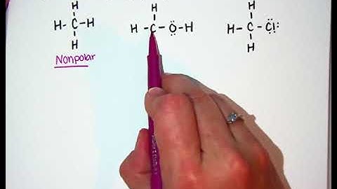 BI4.S6 Properties due to IMF Video Notes