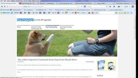 How to Get Google to Index Your New Website & Blog Quickly Using Ping Services