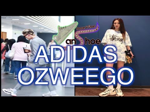 댄슈 - 송민호 산다라박의 신발 아디다스 오즈위고(ADIDAS OZWEEGO)