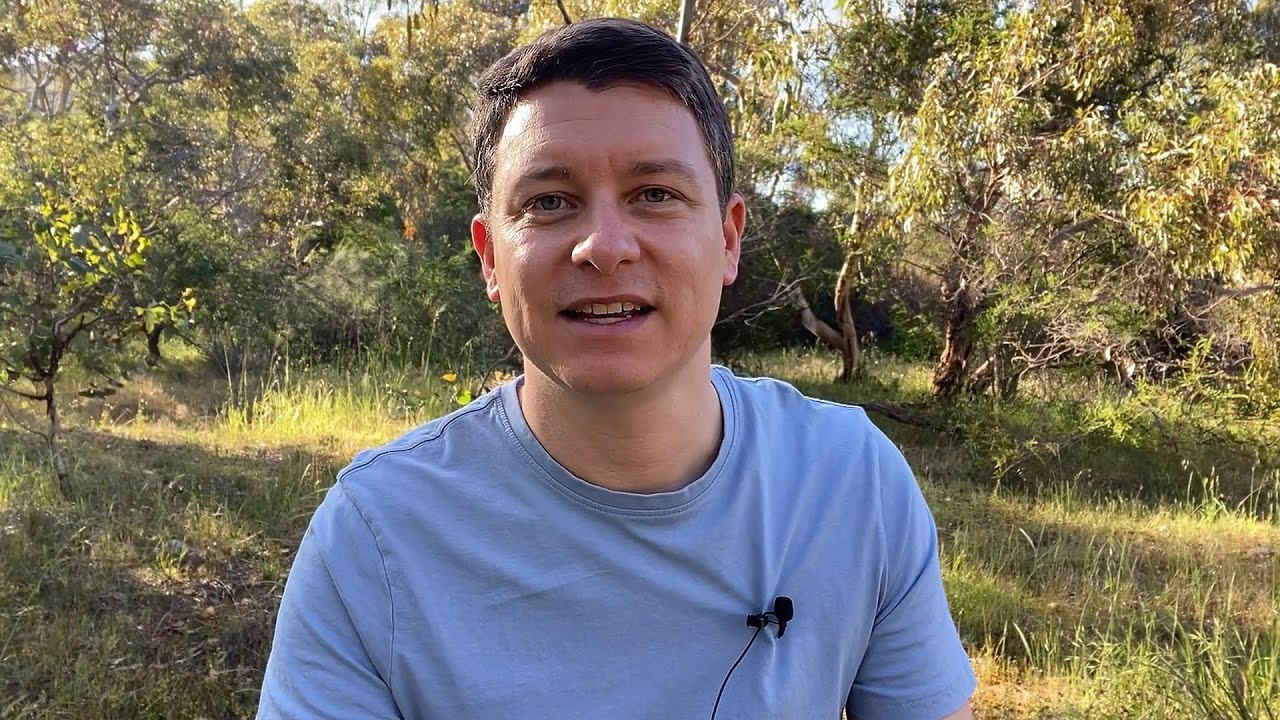 I'm BACK... (Let’s Continue The Journey)