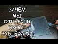 ЗАЧЕМ МЫ ОТРЕЗАЛИ ЭУБЛЕФАРУ ХВОСТ ?