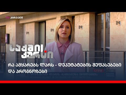 რა ამყარებს ლარს - დეპუტატების შეფასებები და პროგნოზები