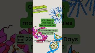 220 Revision Days - Day 20/220: Introduction to Macromolecules Part I #alevelbiology