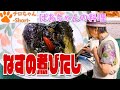 ばあちゃんの料理 ばあちゃん流 なすの煮びたし。４K＃shorts
