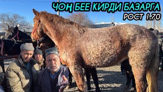 Ноокат Жылкы Базары / 17_03_2024