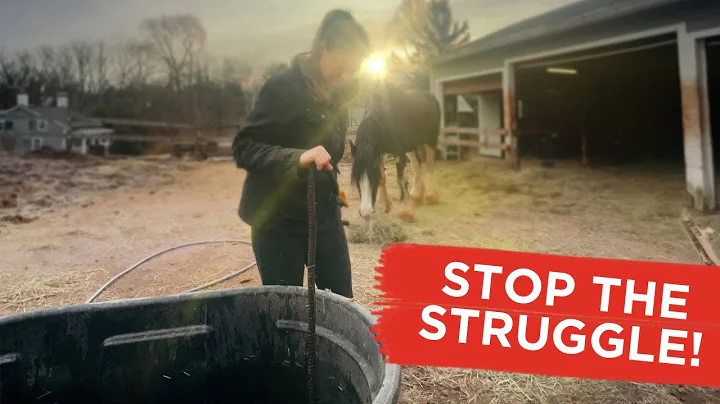 No more frozen hoses in a cold climate! / Homesteading Winter Hose Trick