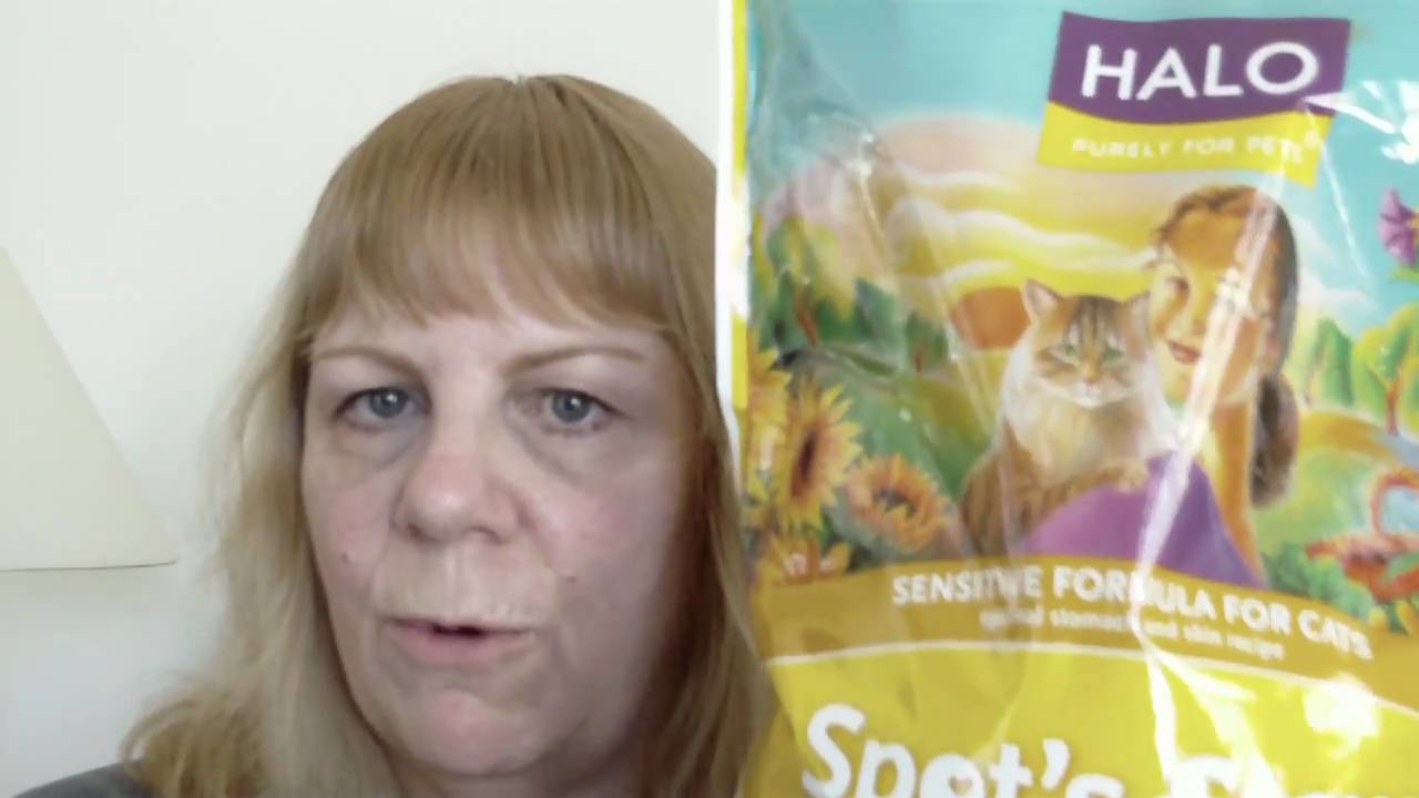 halo spot s stew dry cat food sensitive formula review youtube