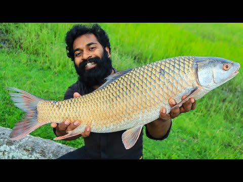 5 KG BIG FISH GRILLED WITH HOT CHEESE     M4 TECH 