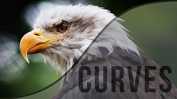 Learn the Power of Curves to Transform Your Photography