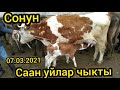 Өзгөн мал базары 🐄! Сонун саан уйлар чыкты! 🤓🥳🤩 07.03.2021