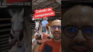 Caballo de competencia 🐎 #curiosidades #reelsfbシ #viralvideo #visualcontent  #SabiasQue